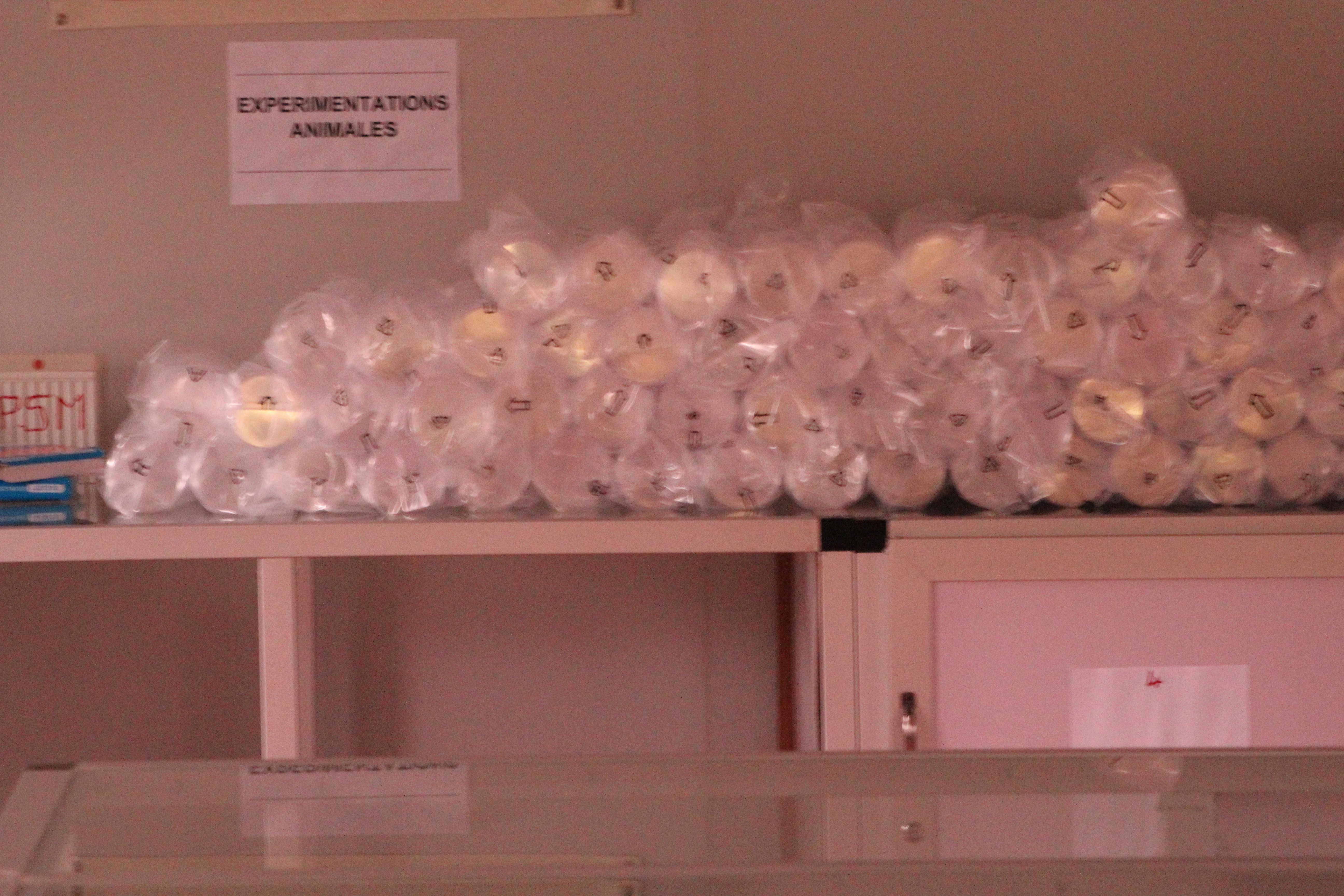 Financement initial en 2015